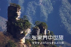 天仙女獻(xiàn)花.jpg