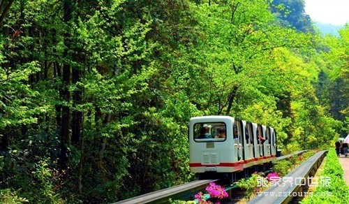 什么樣的旅游，才能自己做主？