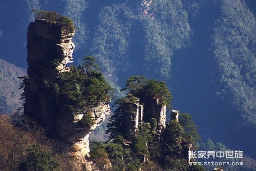 天仙女獻(xiàn)花.jpg