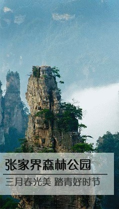 張家界國(guó)家森林公園