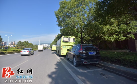 張家界最全停車位攻略，再也不擔(dān)心找不到停車位了！