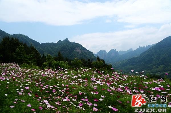 五月遇上格?；? 張家界武陵源一鄉(xiāng)村初夏風光迷人